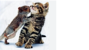 Les styles d'attachement pour comprendre les blessures relationnelles